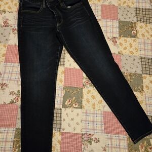 Size 12 Short American Eagle Dark Wash Women’s Skinny Jeans - Classic Denim